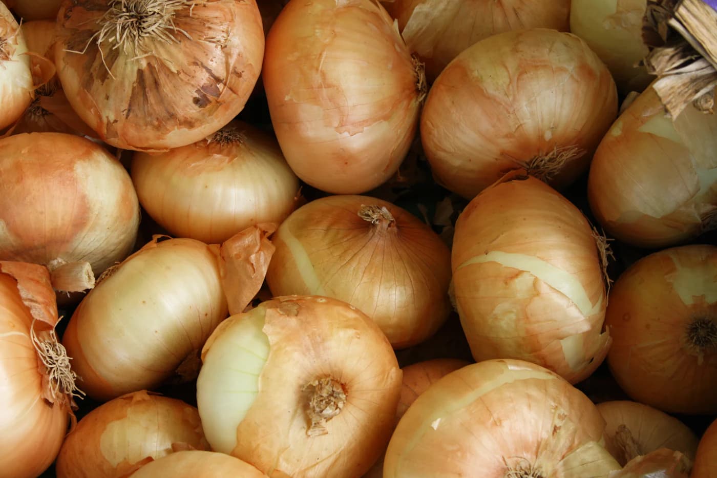 Red Onions